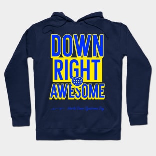 Down Right Awesome Hoodie